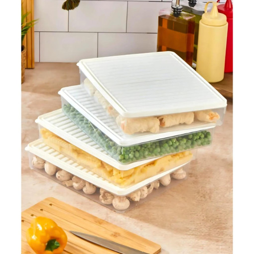 bigmate BGMT2525 4'lü Şeffaf Saklama Kabı 4x2,5 Lt Mikrodalga Buzdolabı ve Dondurucu Uyumlu Düzenleyici bigmate BGMT2525 4'lü Şeffaf Saklama Kabı 4x2,5 Lt Mikrodalga Buzdolabı ve Dondurucu Uyumlu Düzenleyici